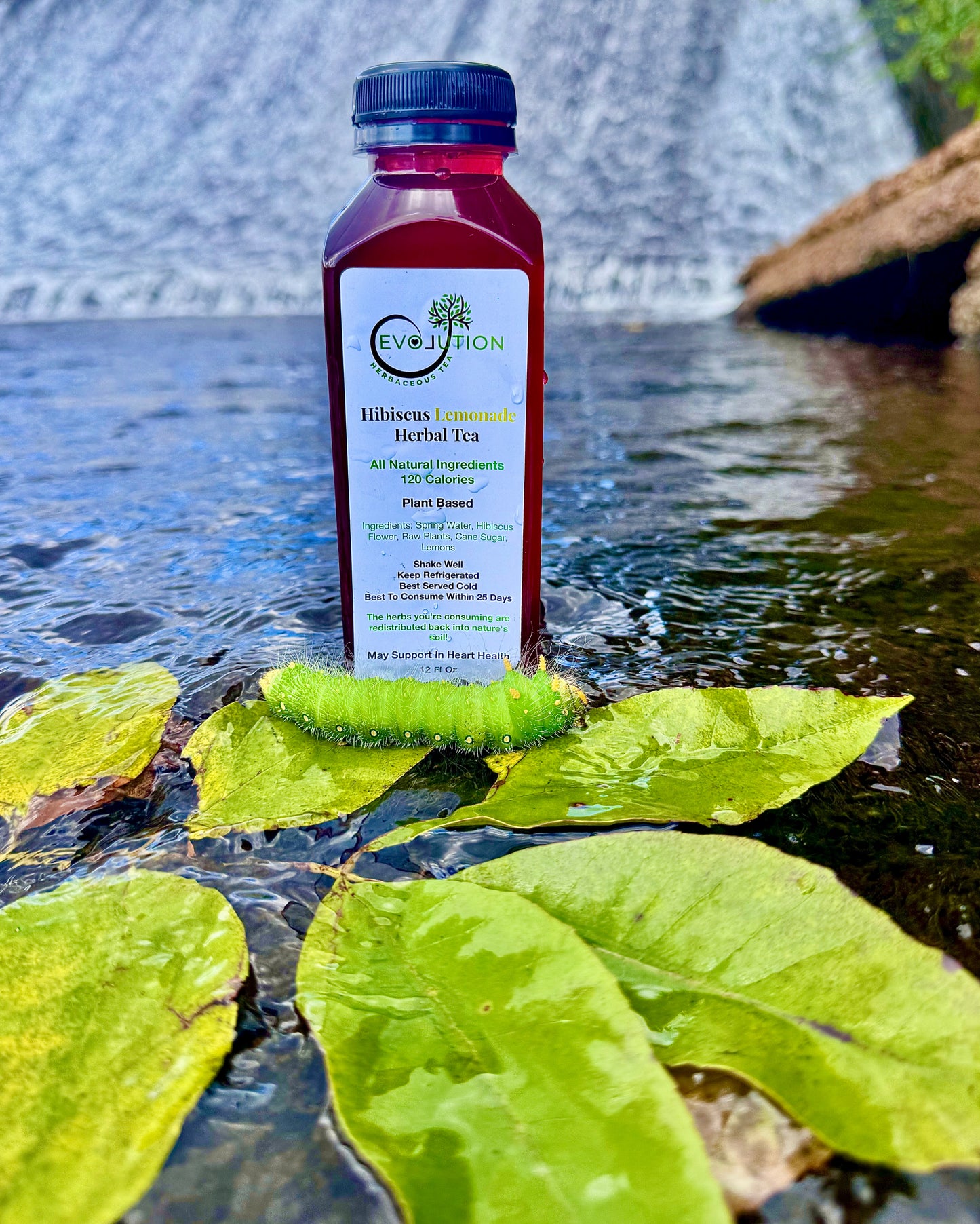 Hibiscus Lemonade  Herbal Tea