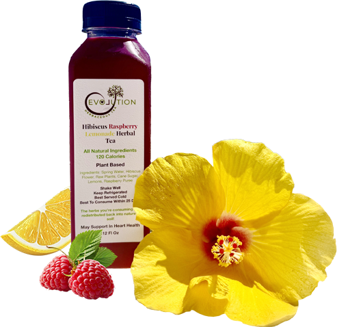 Evolution Raspberry Tea EVOLution Herbaceous Tea